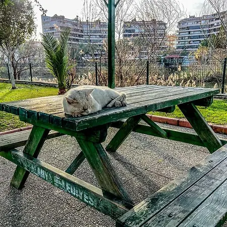 Peaceful Riverside Retreat 10-min Walk To Beach, Steps From National Park In Διαμέρισμα Αλάνια
